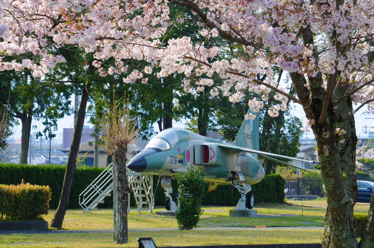 航空 自衛隊 奈良