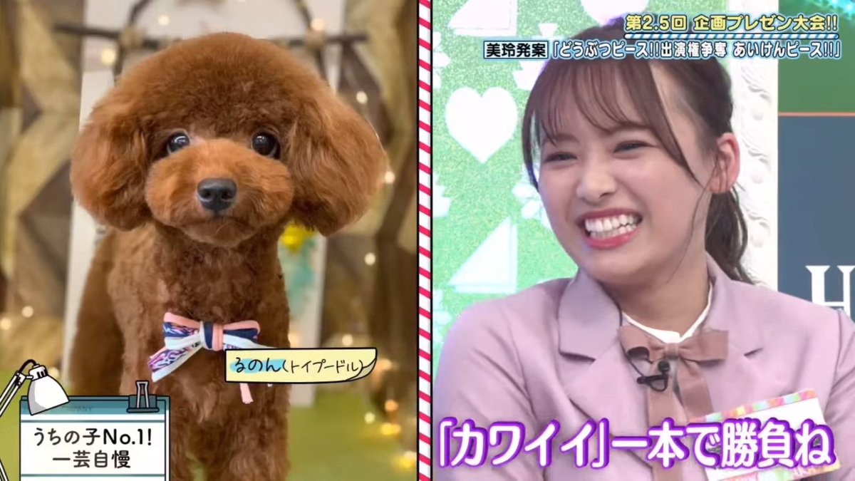 ひよたん 走り疲れた.. 暑くてばてて..ません！！！ #ぴよたんの #バイクライフ