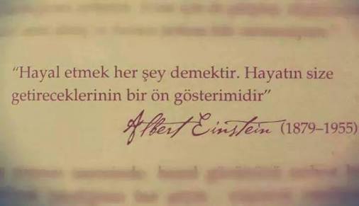 dcansyn's tweet image. 