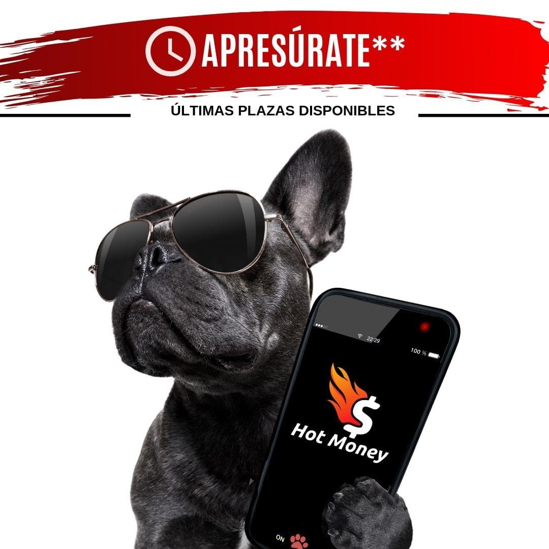 bernardom615's tweet photo. MARKETING DE AFILIADOS
➡ Encontrar un PRODUCTO GANADOR
➡ Utilizar un SISTEMA DE VENTAS ARROLLADOR
➡ Crear PUBLICIDAD EFECTIVA
¿Quieres aprender como hacer todo eso ?
INSCRÍBETE AL ENTRENAMIENTO GRATUITO
➡ https://t.co/6uNy9fwX8R
Y sigue nuestro programa de 30 días...
Saludos, https://t.co/lu73kJg30y