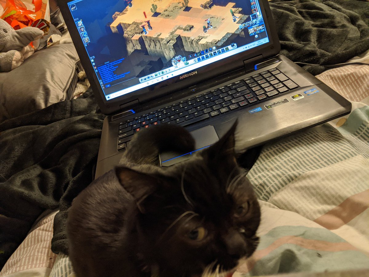SmolHolly's tweet photo. 28/03/2020
Mom realized she hadnt taken any photos of me recently so she tried to make up for it 🙄 https://t.co/LXuKE3aXuY