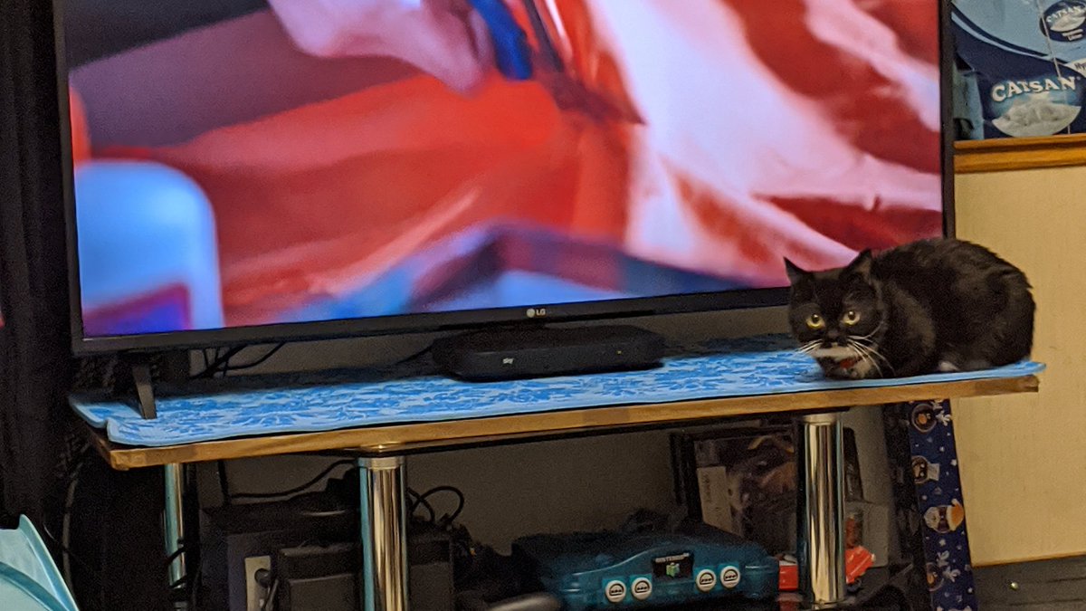 SmolHolly's tweet photo. 28/03/2020
Mom realized she hadnt taken any photos of me recently so she tried to make up for it 🙄 https://t.co/LXuKE3aXuY