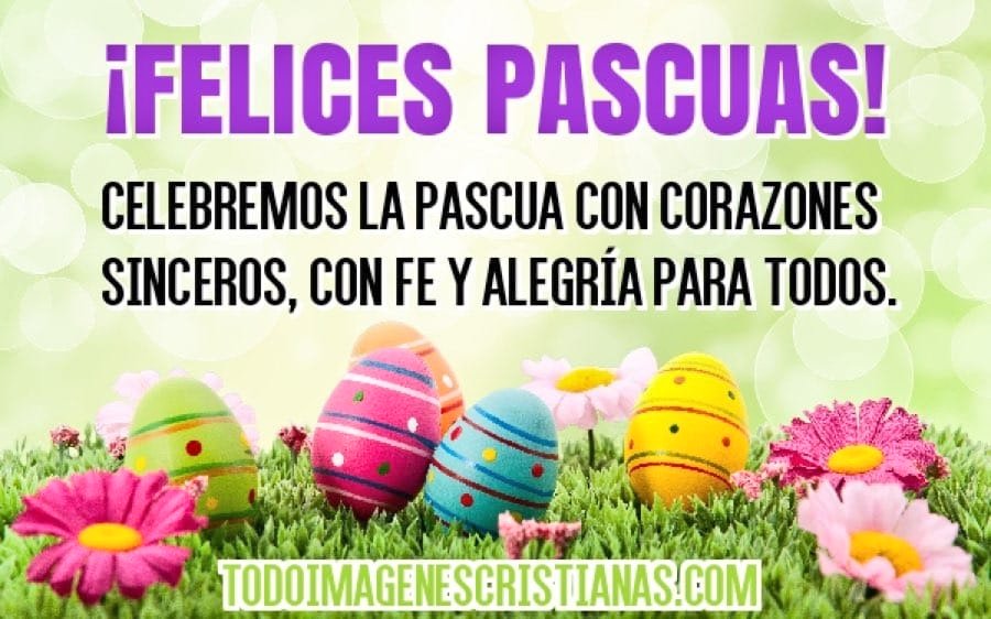 KarolYR3's tweet photo. Felices pascuas!! https://t.co/vXXHlIfeyO