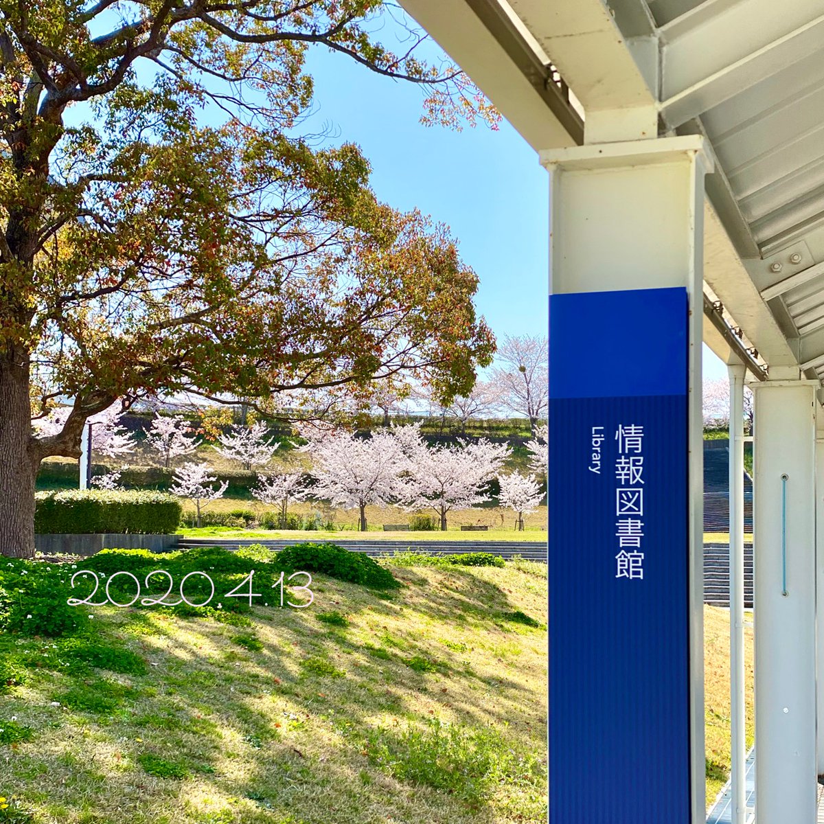 神戸芸術工科大学情報図書館 Twitterissa 図書館長の一語一絵 昨年に図書館前と学内全てのサインがリニューアルされました