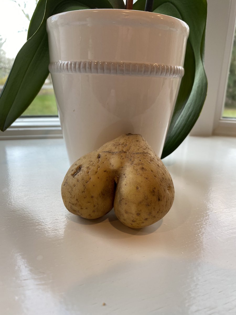 sarabellab123's tweet photo. If you’re cooking Easter dinner and come across a potato that looks like a giant ball sack and you don’t take a picture, then we can’t be friends. https://t.co/TvkTNz65O8
