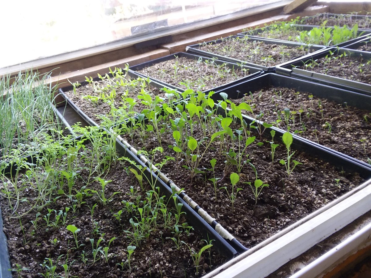 FuckUIm0ut's tweet image. #FoodSecurity is #LifeSecurity.

(Also, #HuntingHelps...  :)

#NotToLateToGTFO

#BabylonIsADeathCult

Good luck....