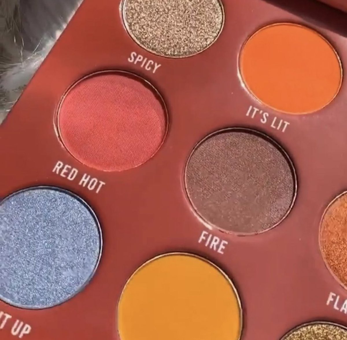 Trendmood's tweet photo. Available Now! 🚨 LINK ▶️ https://t.co/oerw2P5npt online #shoppeachyqueen *use code: TRENDMOOD 15% off NEW #EyeshadowPalette The #SpicySriracha !!! 🌶🔥 by @Peachyqueengirl 😍 Includes 12 shades, pressed glitters, mattes &amp; shimmers to keep it spicy. $29.99 https://t.co/tzeNR7pGZ3