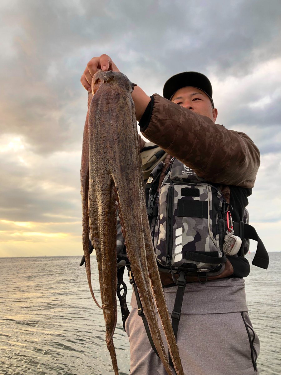 なおすけおじさん V Twitter 袖ヶ浦だよ笑