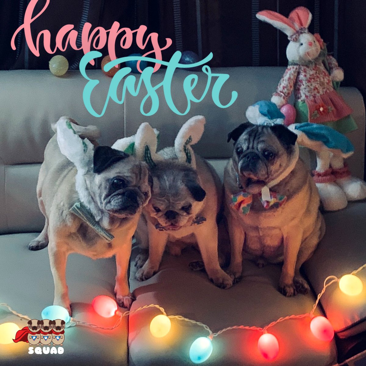 pugsquadsos's tweet photo. We hope you and your family had a wonderful Easter! ๐ฐ๐ฃ๐พ
#happyeaster #easter #pug #pugs #easterpuggy #easterpug #easterbunny #grumble #easterpuggies #cutedogs #cutepug #pugoftheday #rescuepug #rescuepugs #pugrescue #puglife #puglove #pugluv #puglovers #puglover #pugworld https://t.co/bfao1ZIxK1