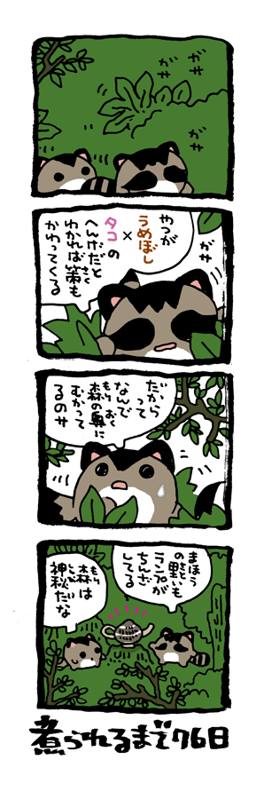 @DoyonoJun 100日後に煮られるタケノコ25 