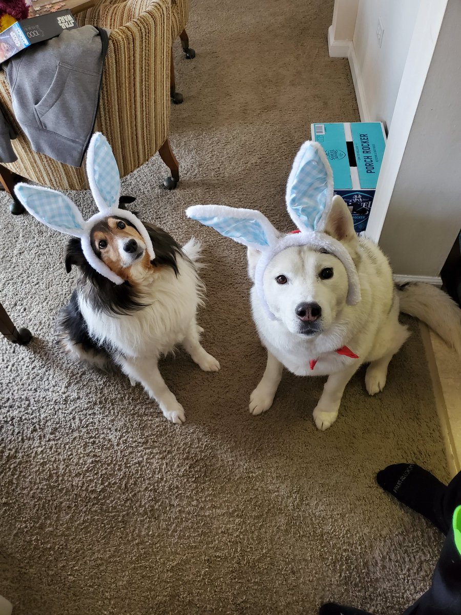 Obsolete_Junkie's tweet photo. Happy Easter 🐥✝️🐇
#Easter #2020 #HeIsRisen https://t.co/Q3OAGKwQ44