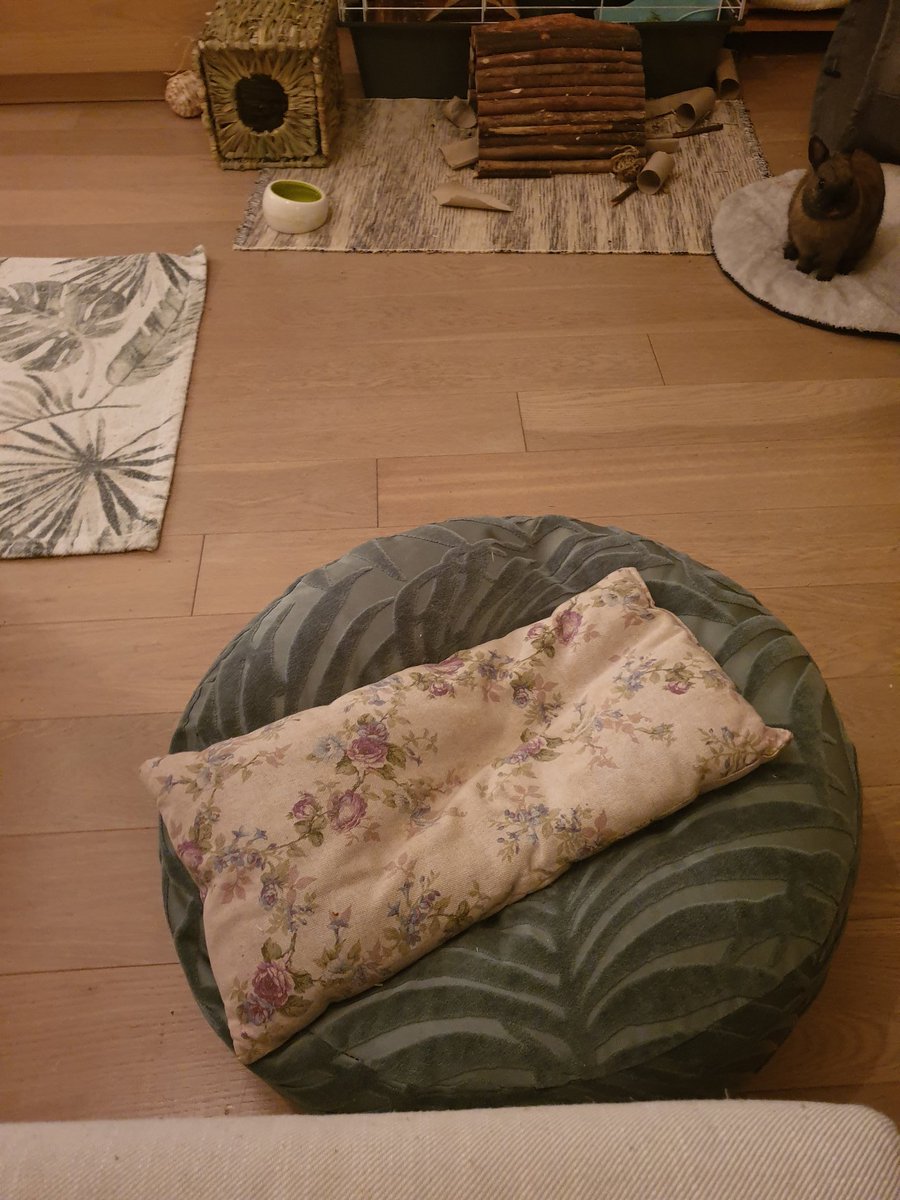 Elle a aussi ce pouf + coussin qui est devenu le sien quasi de suite et qui se trouve à côté de mon canapé/lit. Comme ça elle peut grimper et descendre sans que ça ne soit trop haut.Surtout niveau articulations pour la descente.pour un mini lapin,l air de rien,c est haut...