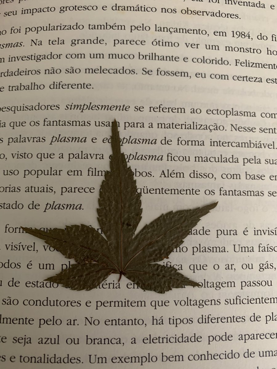 Achei num livro aqui em casa, e ele nem é meu!