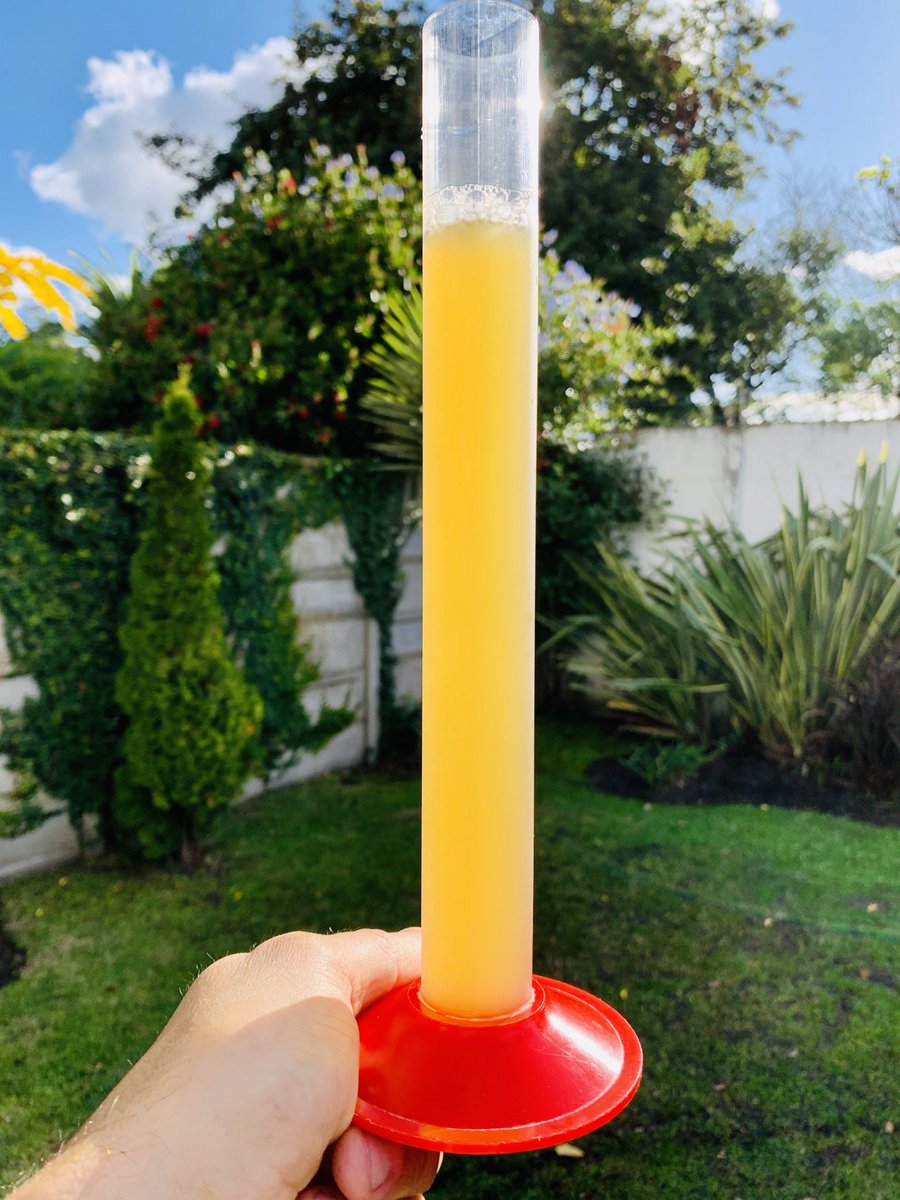 PachaBeer's tweet image. Con una D.F. de 1.010, alcanzando 5,25% de ABV, y carbonatada...New Zeland IPA 🇳🇿 “Resurrection”!!!  #bornoneaster #quedateencasa