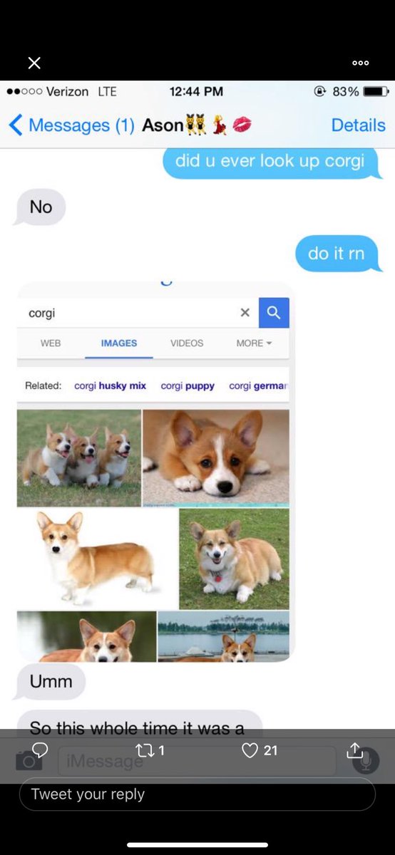 all1s0n87's tweet photo. Throwback to the time I didn’t know what a Corgi was and my bitchass friend convinced me it was a type of meal https://t.co/clLpGoj5pS