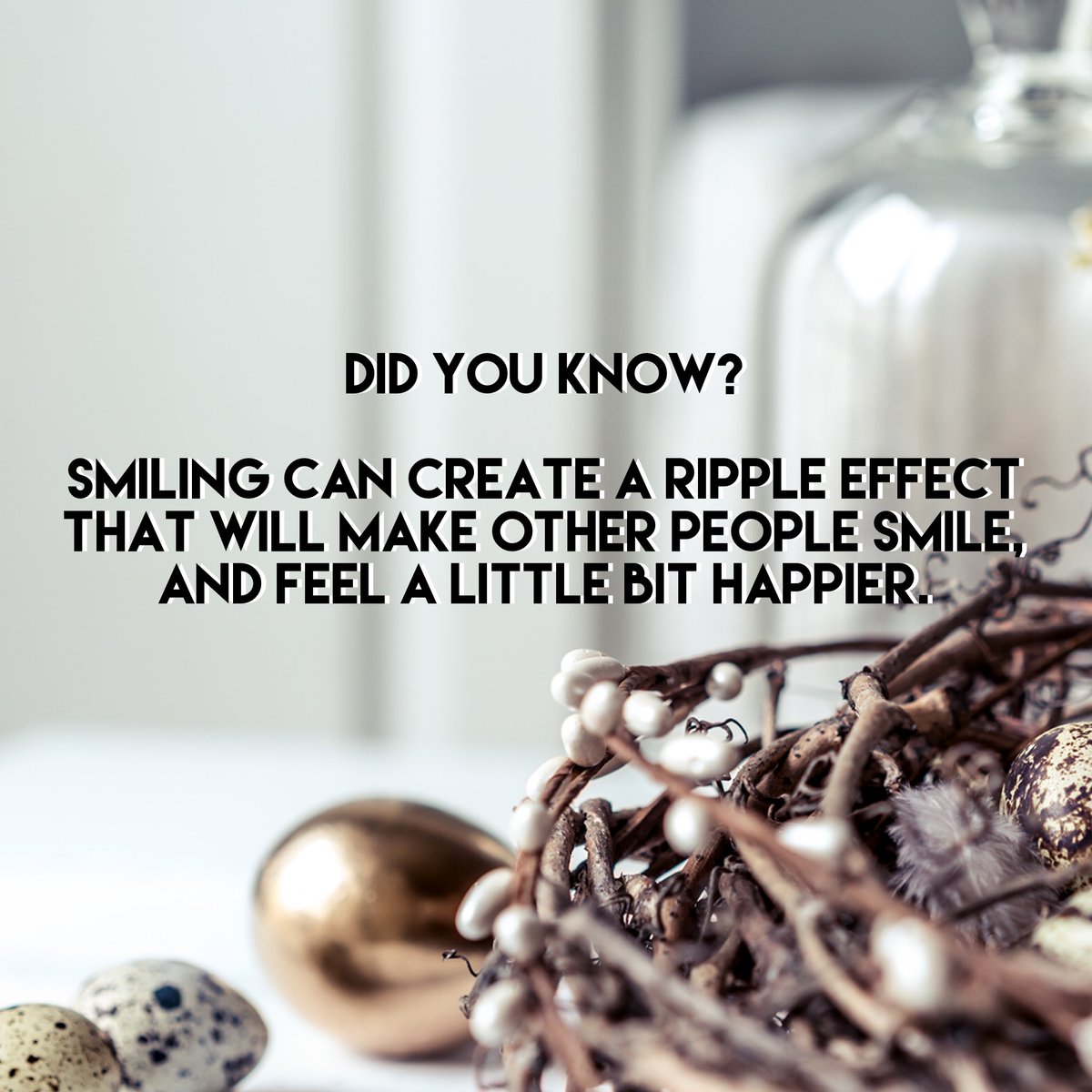 StarfinderPH's tweet photo. Starfinder Optical launches a Mental Health Awareness campain that provides a little bit of positivity with others by sharing our friends’ smile. Yes! You can also join this campaign on April 15, 2020 by posting a selfie while smiling. We’ll survive this crisis with a smile. https://t.co/DBME9L9NDs
