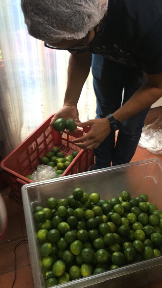 rflores20's tweet photo. Seleccionando limones !! #BioQ y #Q2000 #agricultura @lapapa_lapapa https://t.co/spm3MN2pKX