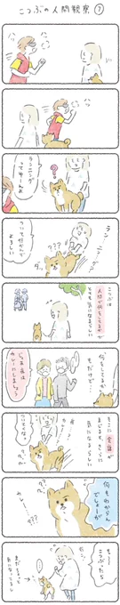 月よう日はこつぶの更新日です?

マンガ全文はこちらから↓よかったら見てみてください?
https://t.co/iWYjBb4rb5
(14日10時まで会員さんでなくても見れます)

#柴犬 #漫画が読めるハッシュタグ 