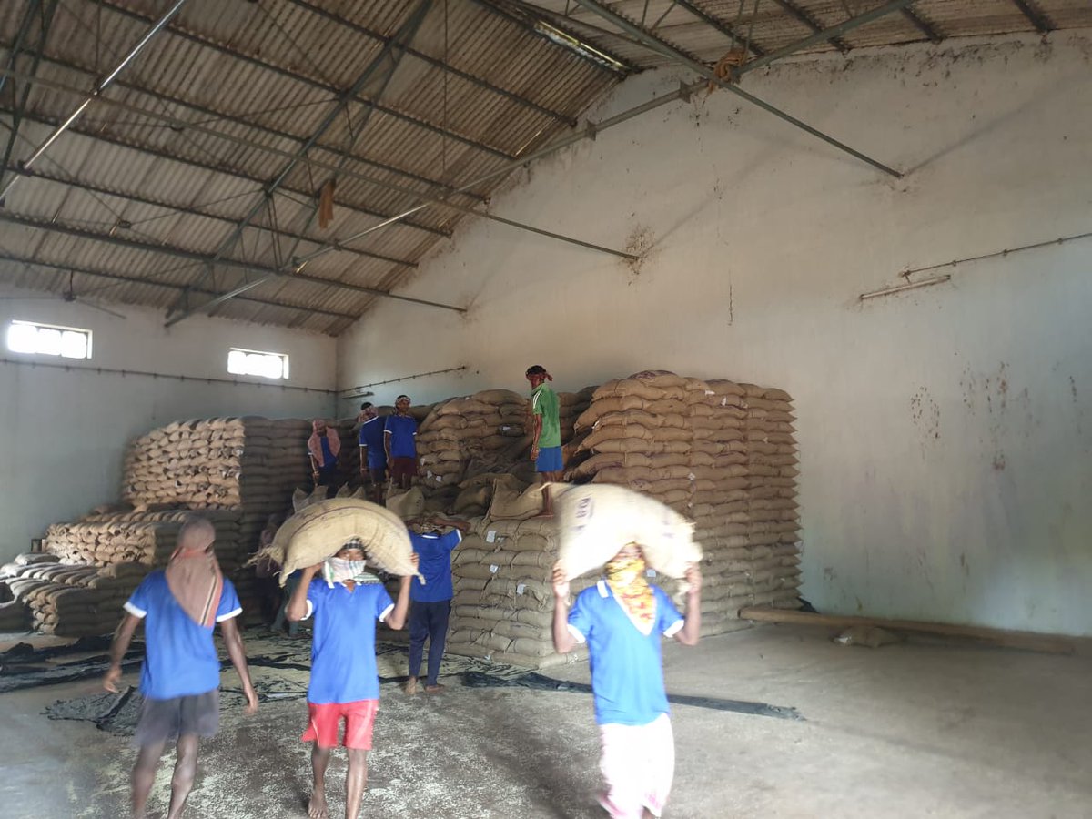 oscsceu's tweet photo. Tri-monthly PDS distribution under #FoodSecurity is over. Now special package for corona #PMGKAY has started in Mayurbhanj District. Thanks to our Procurement Inspectors and their staff for speeding up the lifting in theses difficult times. #NoLeaves #NoHolidays #PI_for_PDS #PI https://t.co/Az0VFUyxz7
