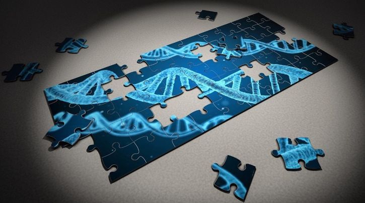 BMC_series's tweet photo. To commemorate World DNA day celebrated on the 25th of April, the Biology Journals within the #BMCSeries have put together our April's focus issue on #GenomeEditing. Look at our selection of articles here: https://t.co/DozGrXWdYB #BMCGenetics #BMCResNotes #BMCMolCellBiol https://t.co/O4VGZl6I7P