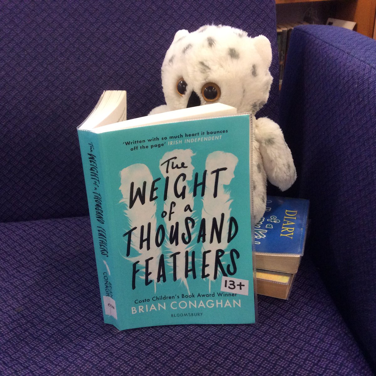 PerthAcadLib's tweet photo. Hope all our @perthacademy pupils are keeping safe and well. @PerthAcadLib misses you! #LiteracyPKC1 #readingforpleasure #OnlinePerth https://t.co/KPhy2ZSUB2