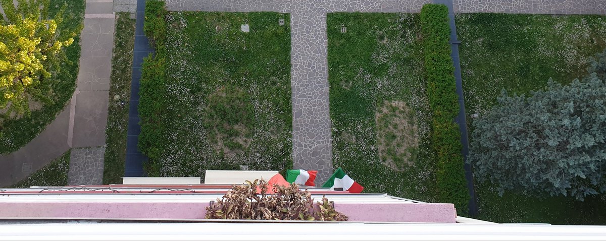 Loden_Mcjohn's tweet image. Non vedo bandiere della Madre Scozia #felloni