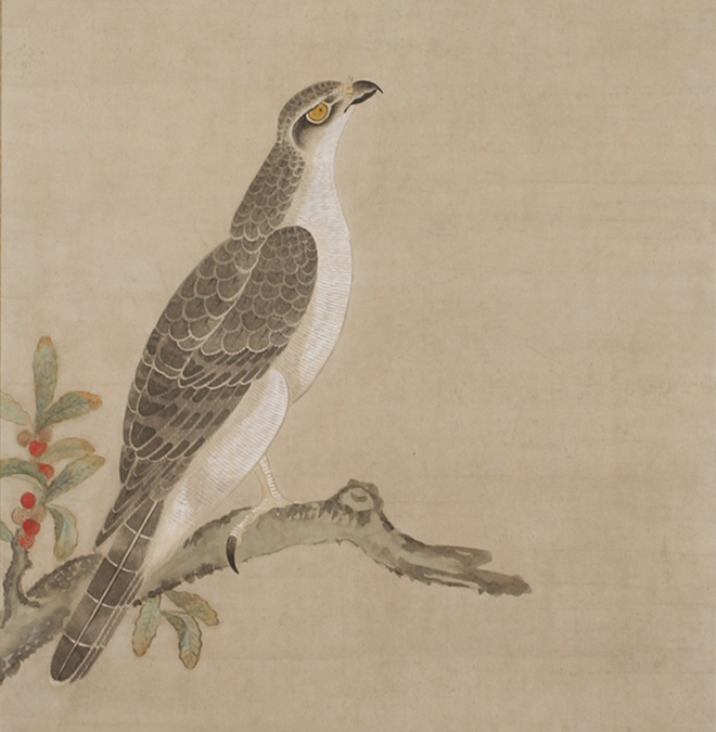掛軸-1011 土岐頼芸 鷹図 印刷工芸作品 土岐の鷹 国盗り物語 - 絵画 掛軸-1011 土岐頼芸 鷹図 印刷工芸作品 土岐の鷹 国盗り物語 - 絵画