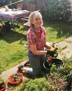 LocalMumsOnline's tweet photo. For our #gardening blogger #LocalMum Mary there is no pleasure quite like picking your own tomatoes 🍅 Here’s Mary’s guide to growing #tomatoes at home. Enjoy! https://t.co/FK1WgrtNyb #localmums #localmumsonline #localmumsblogs #gardeningmum https://t.co/F0utC0njjL
