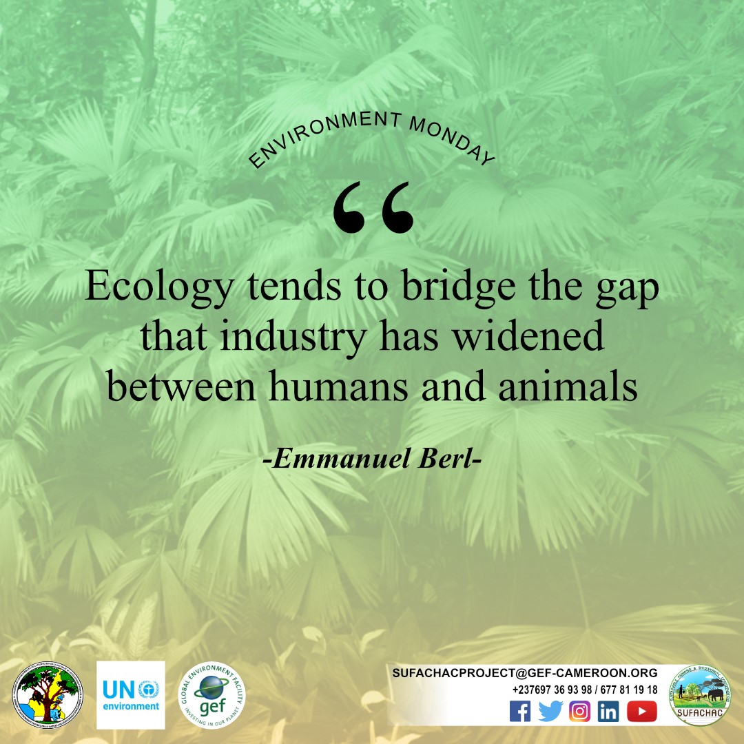 sufachac's tweet photo. Ecology is like a second chance that life offers us, to catch up with all the atrocities that we inflict on our planet.
Take care of protected species because it is one of the most beautiful legacies that we can leave for future generations.
Good week !
#Sufachac #Mondayquotes https://t.co/tHTGXErY4g