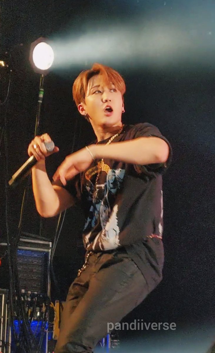 my favorite fantaken pictures of skz at   #SKZUNLOCKinUSA; a thread