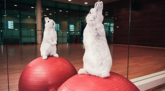 Extend_View's tweet photo. Hope everyone had a fun Easter weekend workout...
#easterworkouts #workouts #strength #fitness #training #physicaltherapy #getmoving #exercise #workright #trainright #gotime #thegrind #noexcuses #rehab #commitment #inspire #accountable #keepgoing #youvsyou #extendview https://t.co/QKpXce764P
