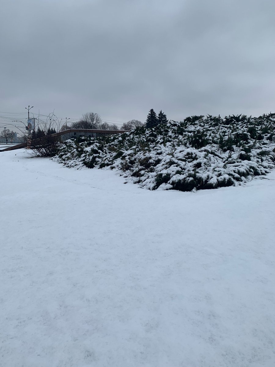 MuSTaFaAllam74's tweet photo. ❄️🇺🇦 https://t.co/Vc4F9UE5a8