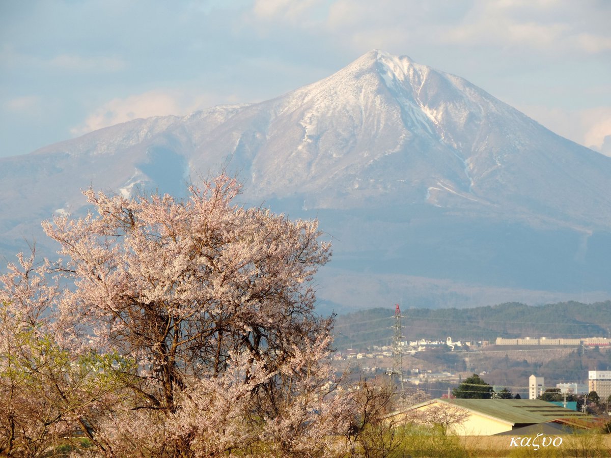 kazu69403860's tweet photo. 4/12 阿賀川沿いから眺める満開の山桜と会津磐梯山📷

皆さん、今週もよろしくなし(^-^)
コロナ感染対策もしっかりと!

#会津 #会津若松市 #風景写真 #散歩 #会津磐梯山 #磐梯山 #山桜 #桜 #acherry #view #scenery #春 #spring #福島撮影隊 #空ネット #japan https://t.co/Vv96ogbW3h