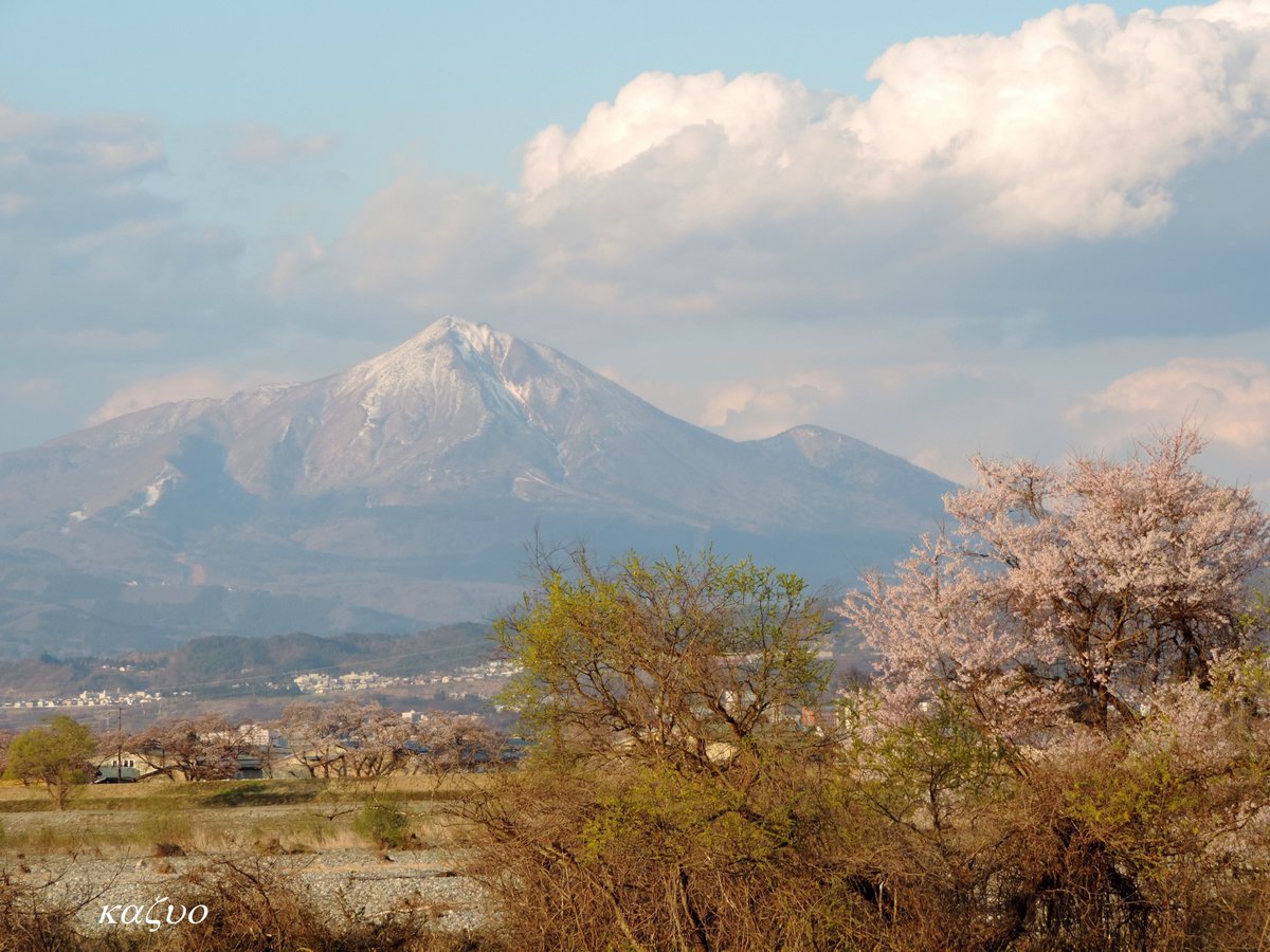 kazu69403860's tweet photo. 4/12 阿賀川沿いから眺める満開の山桜と会津磐梯山📷

皆さん、今週もよろしくなし(^-^)
コロナ感染対策もしっかりと!

#会津 #会津若松市 #風景写真 #散歩 #会津磐梯山 #磐梯山 #山桜 #桜 #acherry #view #scenery #春 #spring #福島撮影隊 #空ネット #japan https://t.co/Vv96ogbW3h