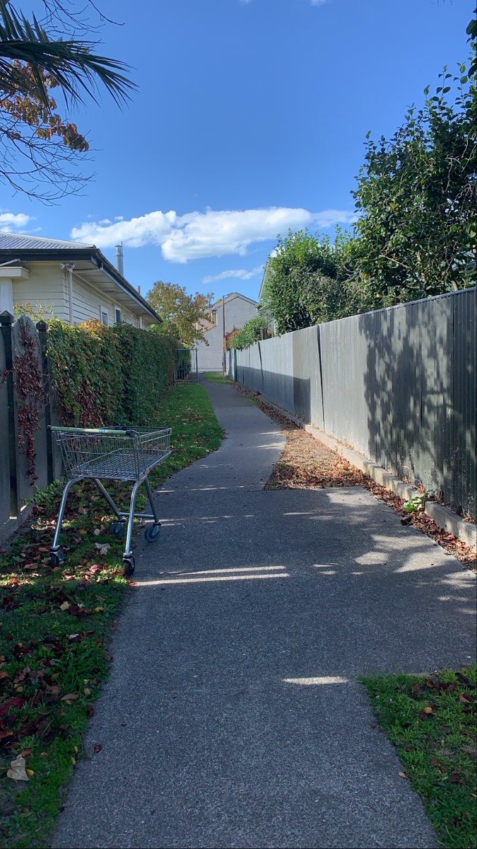 The little path to where I’m living. Someone abandoned a small shopping cart (“buggy” in the South) on the side.