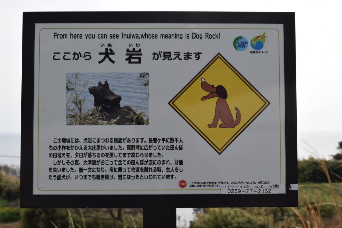 【企画振興部】
◎シリーズ　佐渡の奇岩　③犬岩
小木の犬神平（いぬがみだいら）にある岩。
忠犬ハチ公のような伝説が残っています。
長者ヶ平の大庄屋が船に乗って佐渡を離れる時、主人をしたう愛犬が、いつまでも鳴き続け岩になったといわれています。