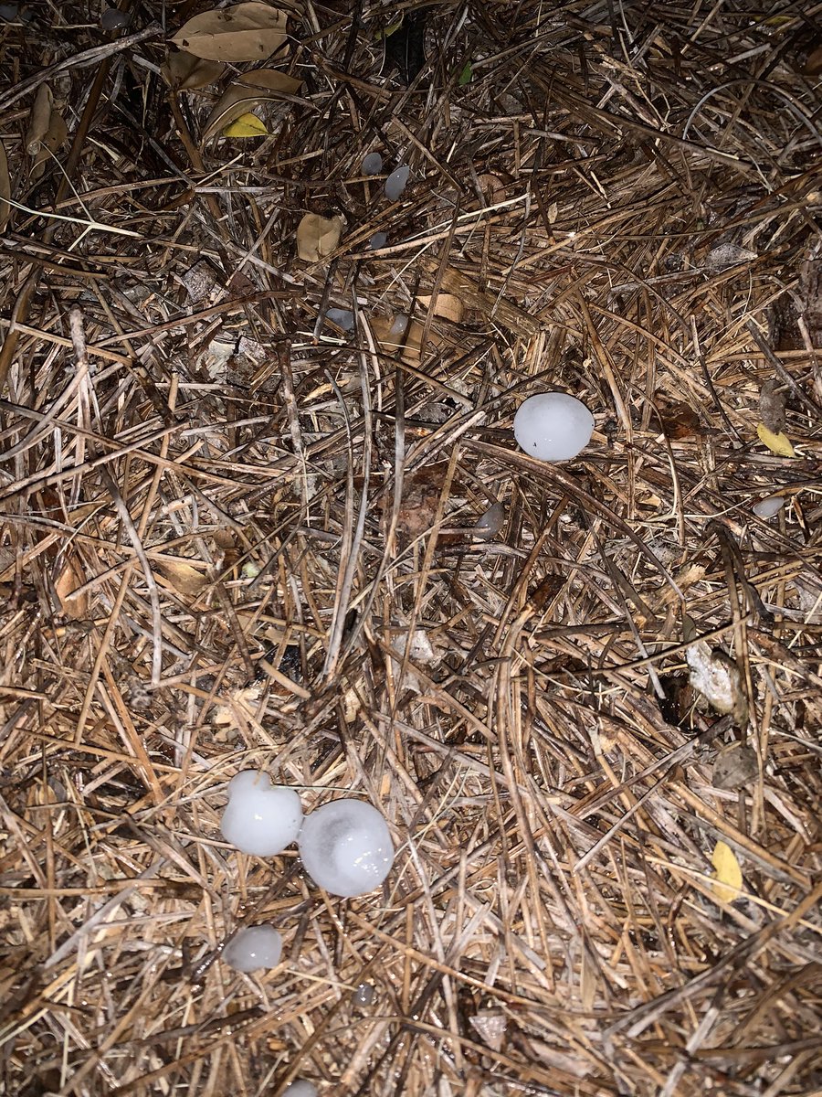 Dime sized hail a bout 5 minutes ago between Vaughn and Ray Thorington Road.#alwx #wsfa