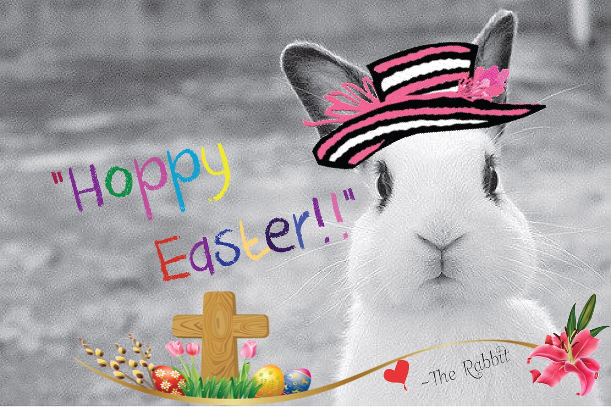 #Easter #parents #mom #dad #kids #brentwoodtn #nashvilletn #musiccity #whiterabbit #kidparties #franklintn #hope #stayhome #celebrate #bunnies #rabbits #momlife #dadlife #kidlife #easterparty #happyEaster