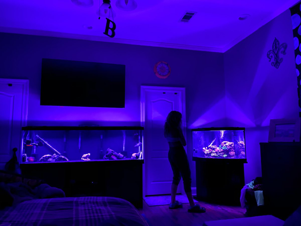 banks_rex's tweet photo. I never share my world on twitter. Only politics or sports. Maybe after quarantine I don’t go back to politics or sports. Just real. #BanksStrong #WaterFlow #MUSEment #BrakingBanksLLC happy Easter Good Night 🌙 https://t.co/MnXN530C6i