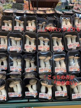 画像 / Picture