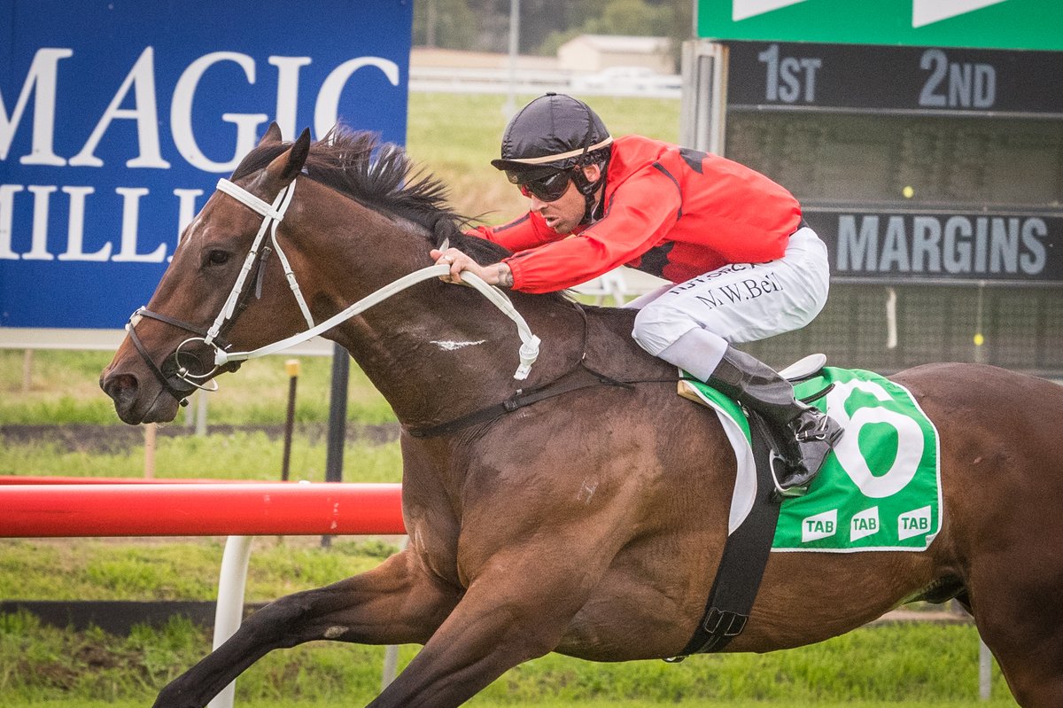 thebrookracing's tweet photo. RAPID EAGLE (Mitchell Bell for Cody Morgan Racing) won R2 https://t.co/A78c2k3J0o Maiden Hcp 1280m. 2nd was Rocketing To Win (D K McLellan), 3rd was Ringmahon (A Morgan) and 4th was Arenpal (D Northey). Race time was 1:17.03 (last 600m in 35.58). Official margins were 1L x Nose. https://t.co/r7W9ZxtHDQ