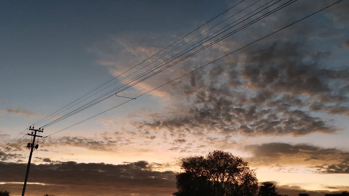 A perfect morning to start planning a #braai
#AlcoholFreeSA #braaiathome #lockdown #SocialDistance around the #braai