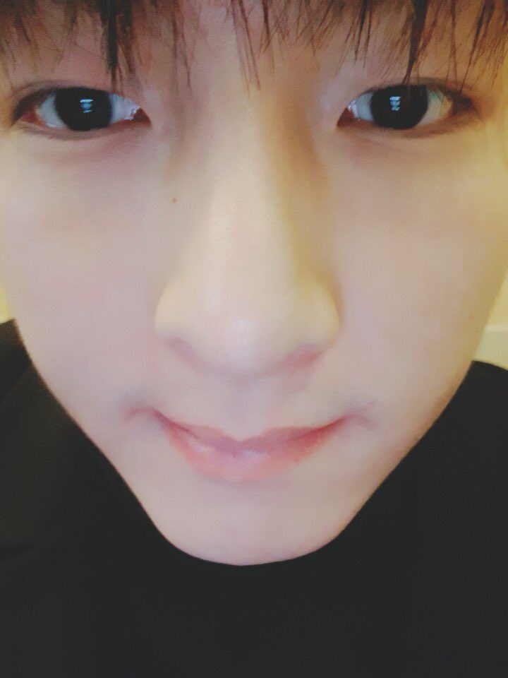 or maybe zoomed in selcas