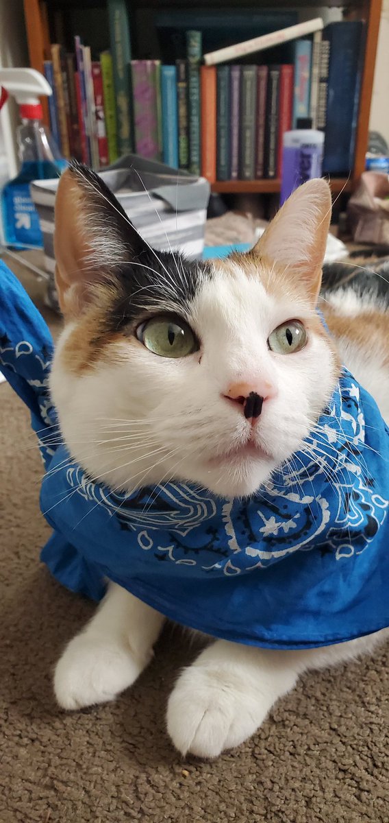 Bandana gorl