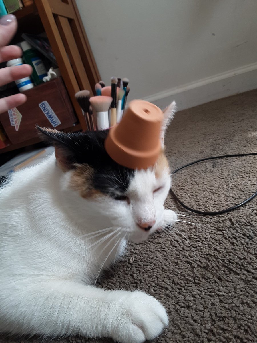 She& #39;s a pothead