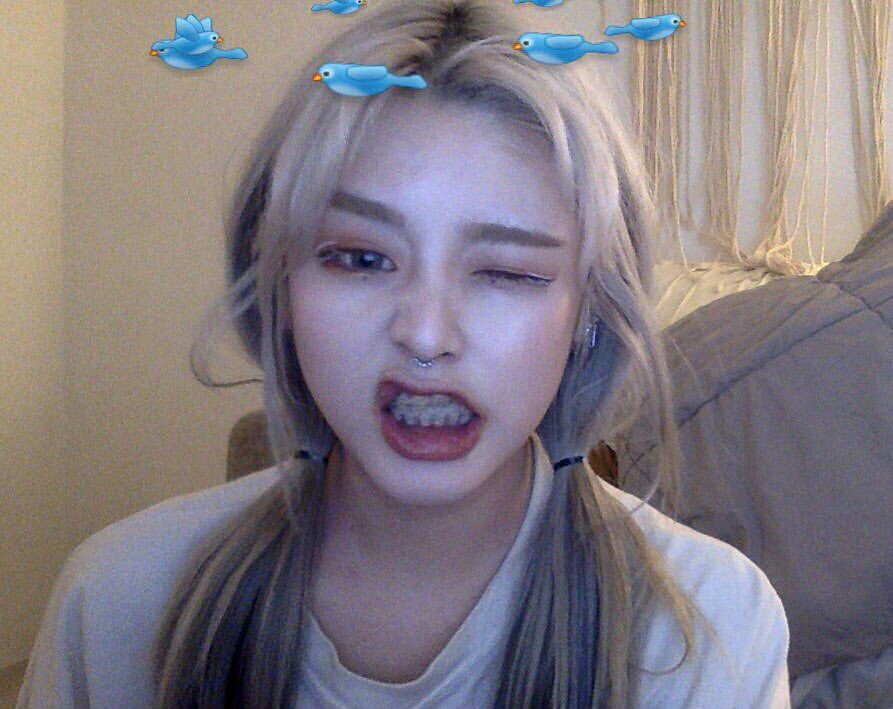 NNNPPP|เนร์ปาฬ not เนปาล tweet media