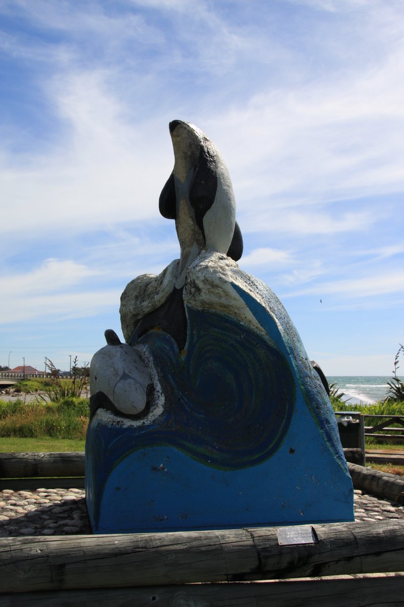 On the north side of the Ngākawau River is the village of Hector, named for the celebrated scientist James Hector. It has adopted the Hector& #39;s dolphin, the only cetacean endemic to New Zealand.