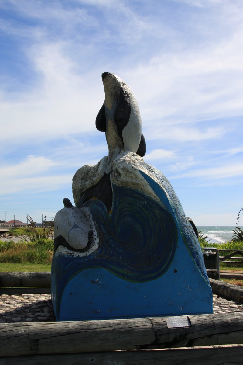 On the north side of the Ngākawau River is the village of Hector, named for the celebrated scientist James Hector. It has adopted the Hector's dolphin, the only cetacean endemic to New Zealand.