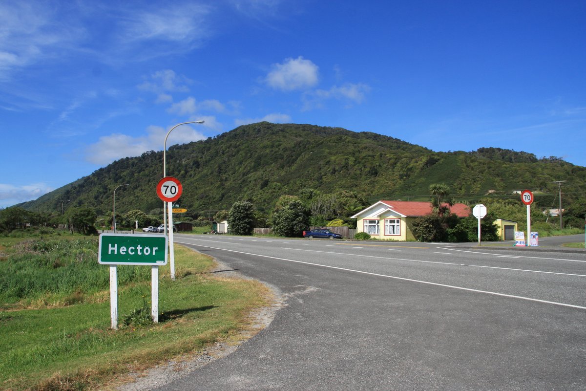 On the north side of the Ngākawau River is the village of Hector, named for the celebrated scientist James Hector. It has adopted the Hector's dolphin, the only cetacean endemic to New Zealand.