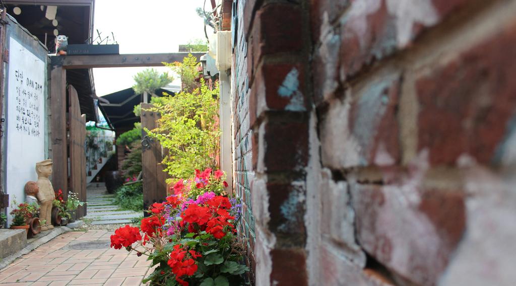 yujin& #39;s family& #39;s guest house in jeonju hanok village단잠 게스트하우스 Dan Jam Guest House